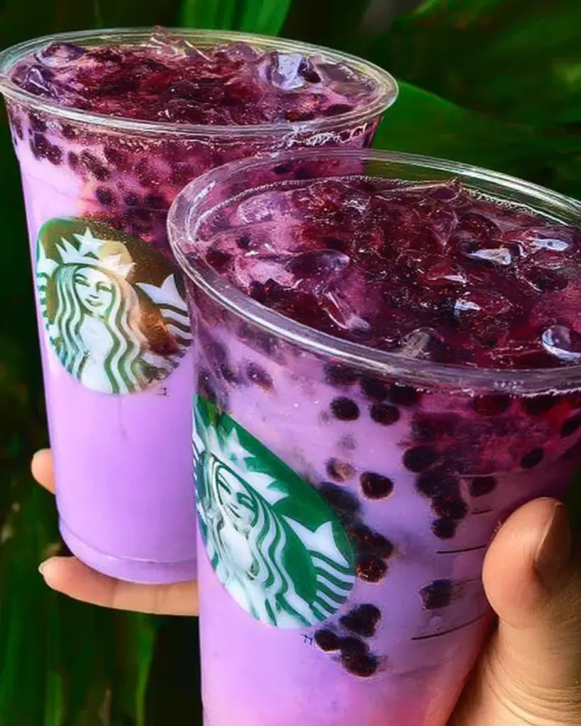 Infusion de Fruits Violets 1