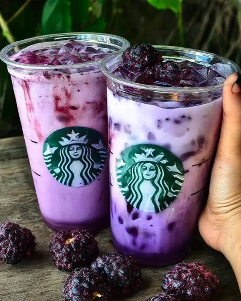 Infusion de Fruits Violets 2